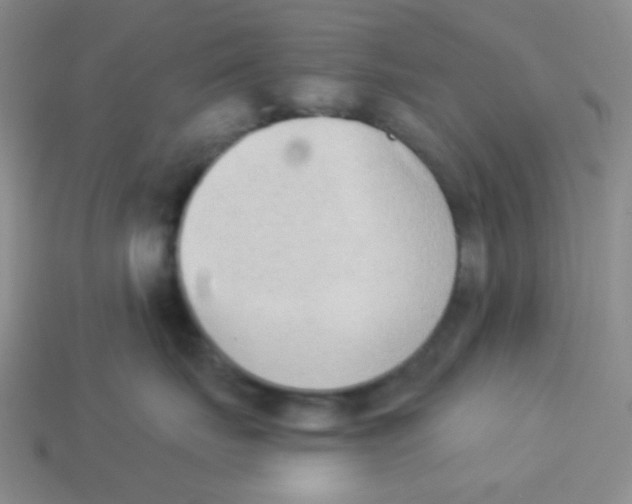 X0000113360671200910131301