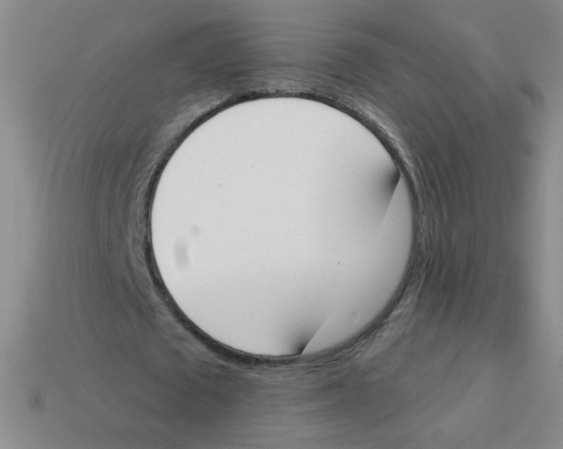 X0000113360673200910131300