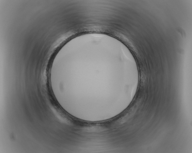 X0000113360674200910131300