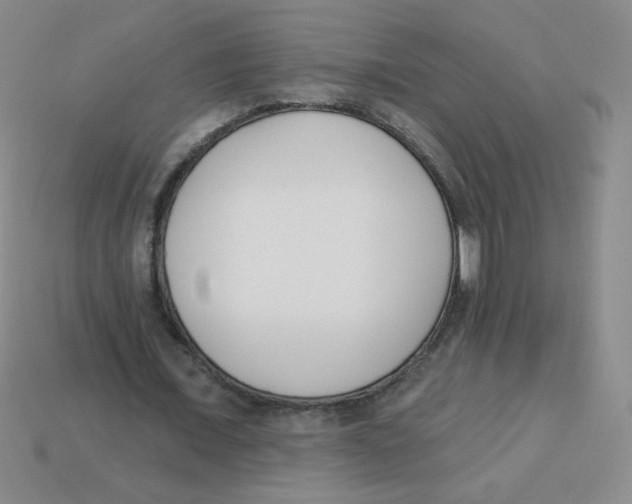 X0000113360675200910131300