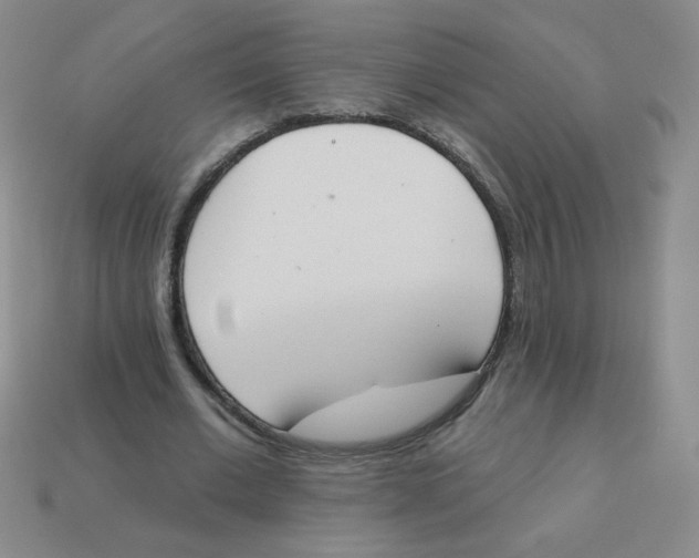 X0000113360677200910131300
