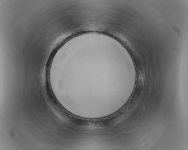 X0000113360678200910131300