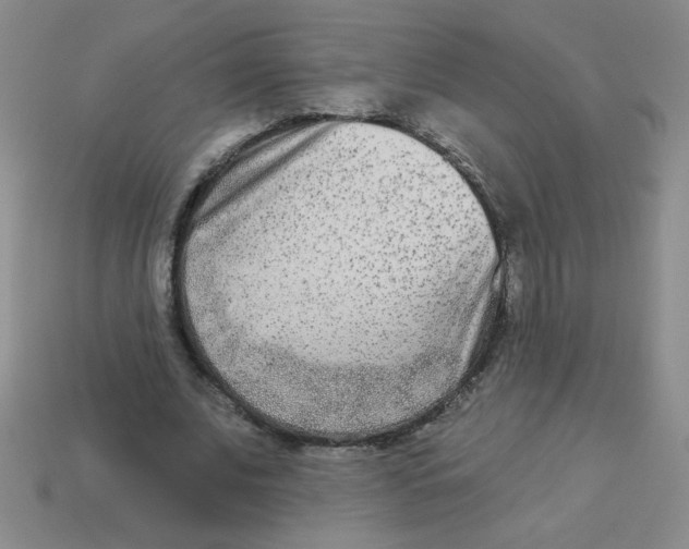X0000113360679200910131300