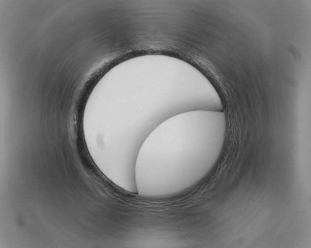 X0000113360680200910131300