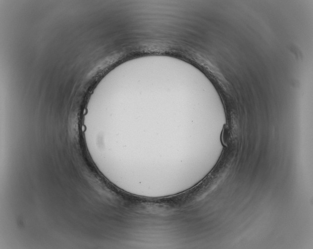 X0000113360681200910131300