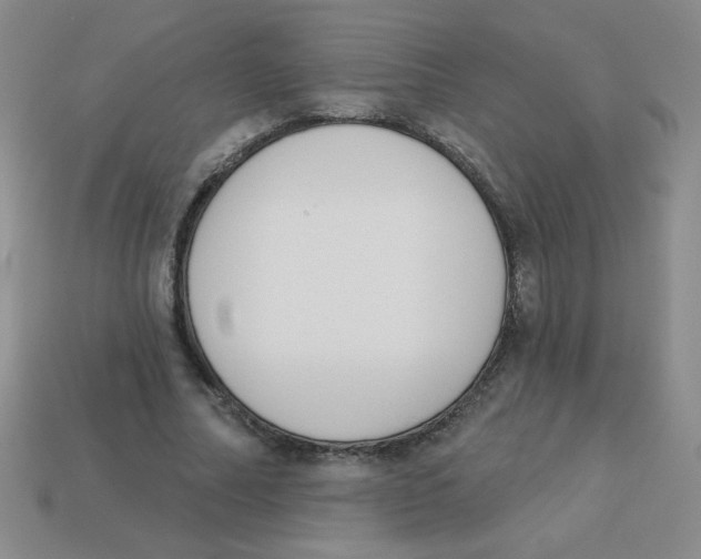 X0000113360682200910131300