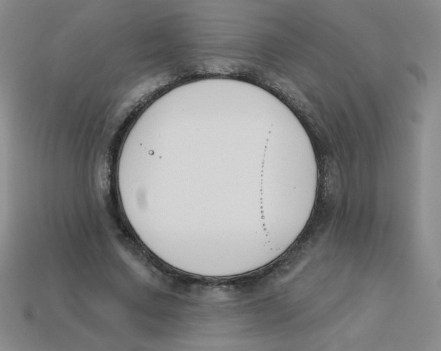 X0000113360683200910131300