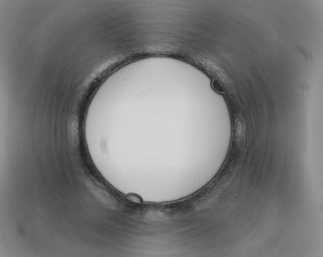X0000113360684200910131300