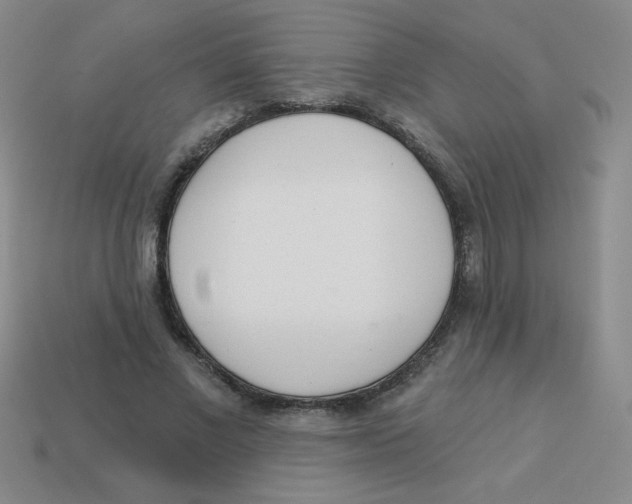 X0000113360685200910131300