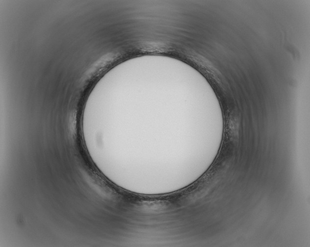 X0000113360686200910131300