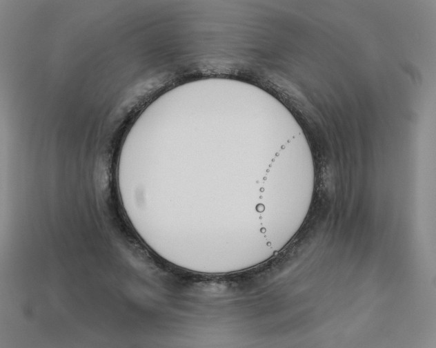 X0000113360687200910131300