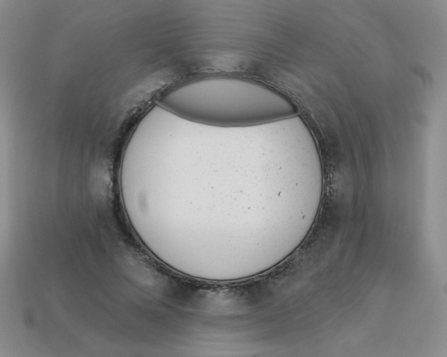X0000113360688200910131300