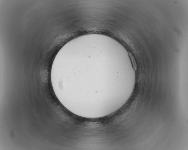 X0000113360689200910131300