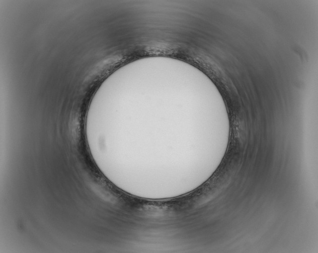 X0000113360690200910131300