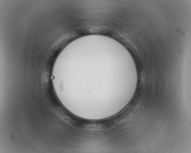 X0000113360691200910131300