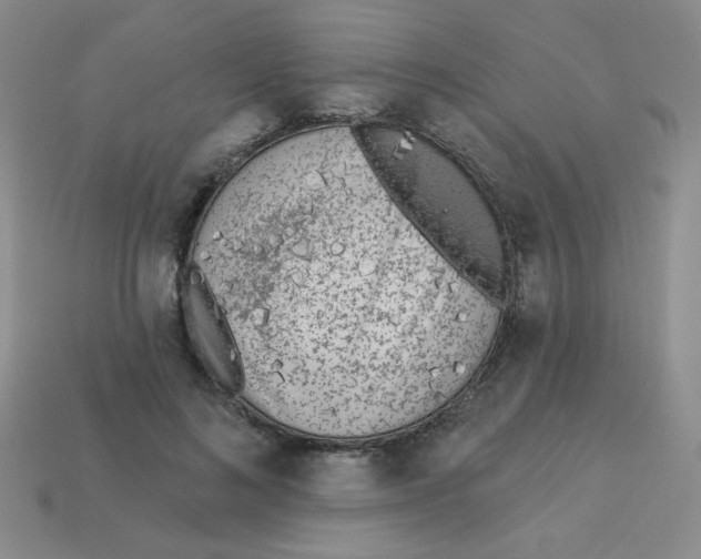 X0000113360692200910131300
