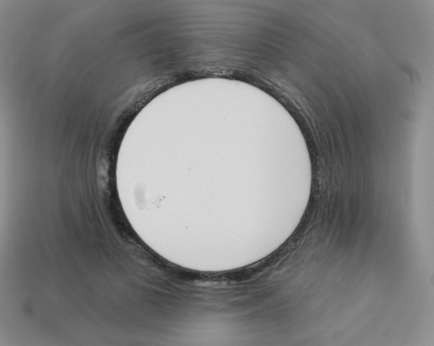 X0000113360693200910131300
