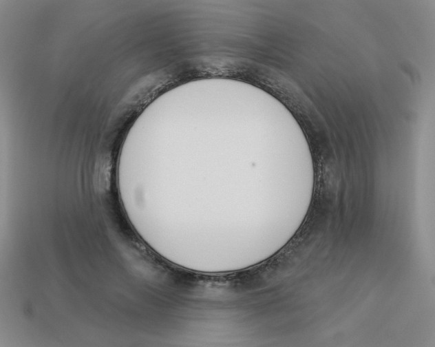 X0000113360694200910131300