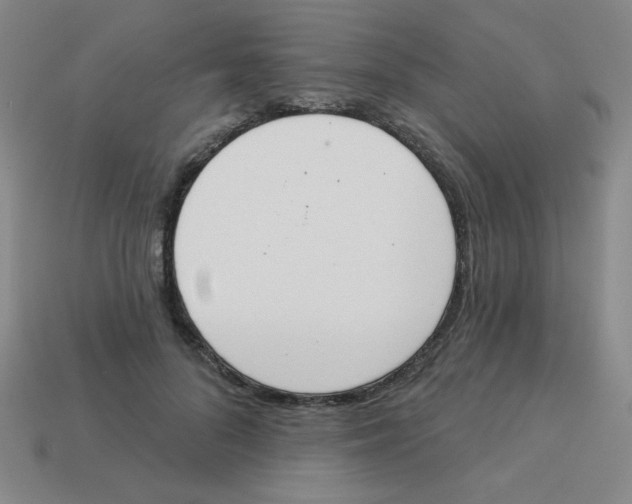 X0000113360696200910131300