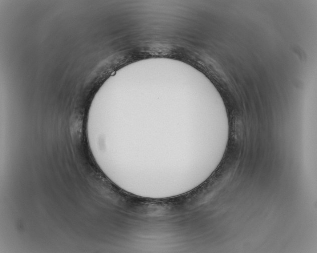 X0000113360697200910131300