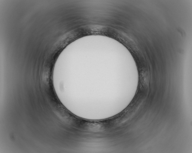 X0000113360698200910131300