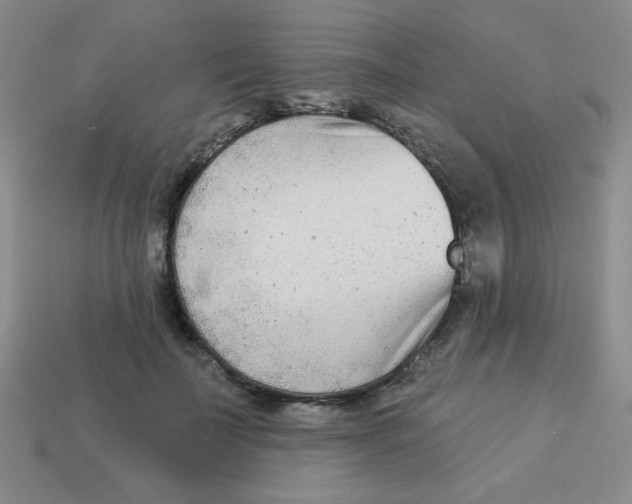 X0000113360699200910131300