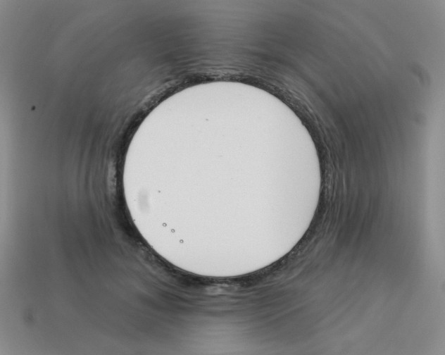X0000113360700200910131300