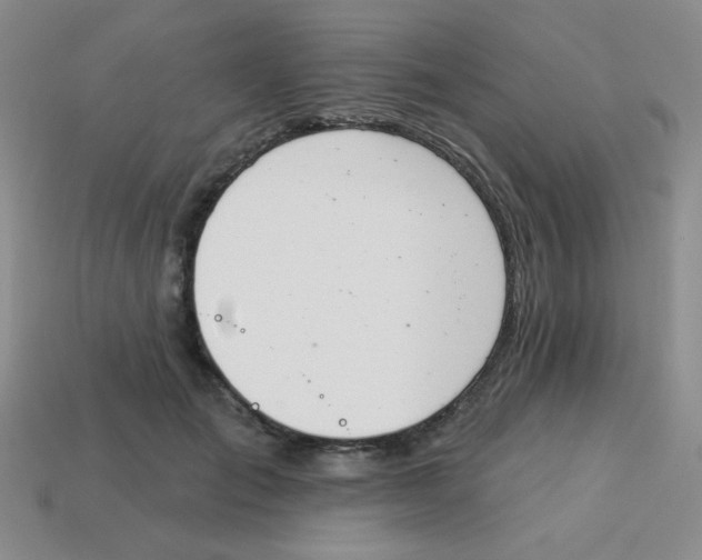 X0000113360701200910131300
