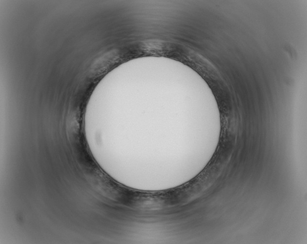X0000113360702200910131300