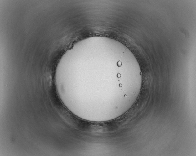 X0000113360703200910131300
