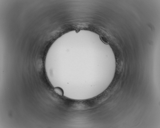 X0000113360704200910131300