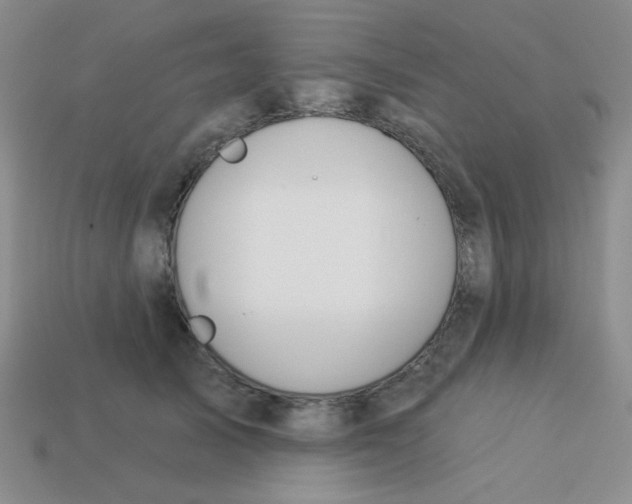 X0000113360705200910131300