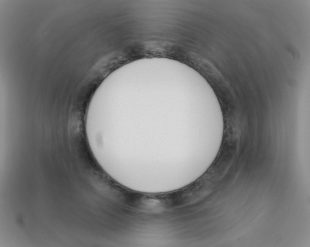 X0000113360706200910131300