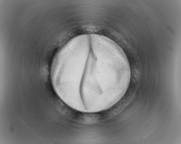 X0000113360707200910131300