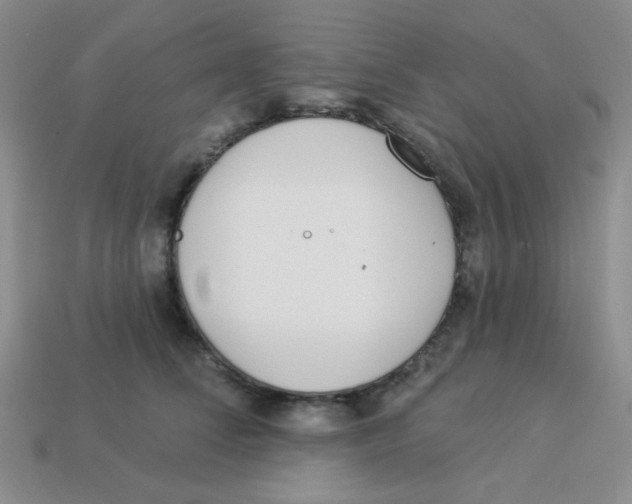 X0000113360708200910131300