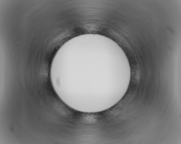 X0000113360710200910131300