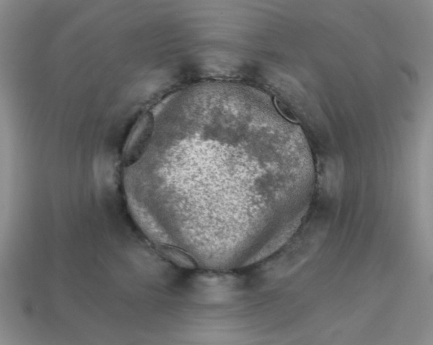 X0000113360712200910131300