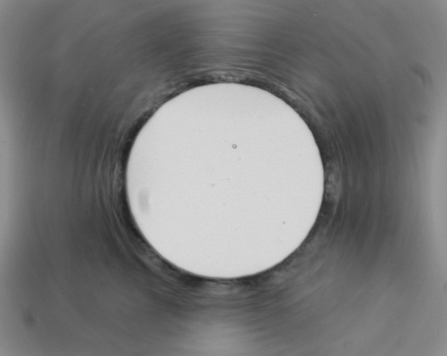 X0000113360713200910131300
