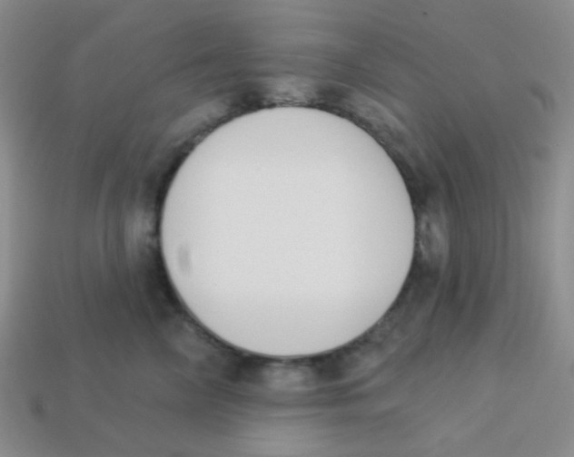 X0000113360714200910131300