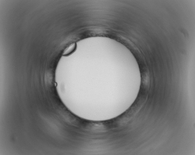X0000113360715200910131300