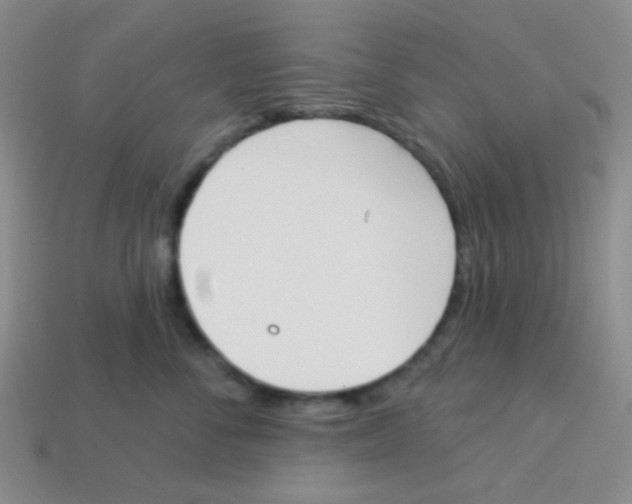 X0000113360716200910131300