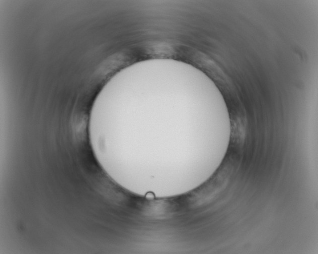 X0000113360717200910131300