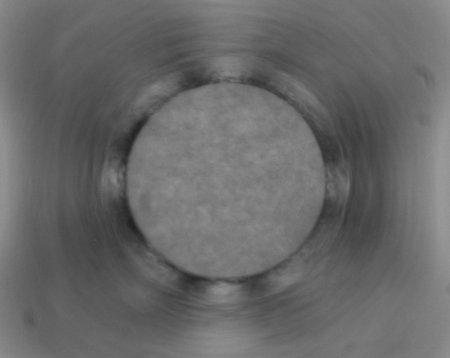 X0000113360718200910131300
