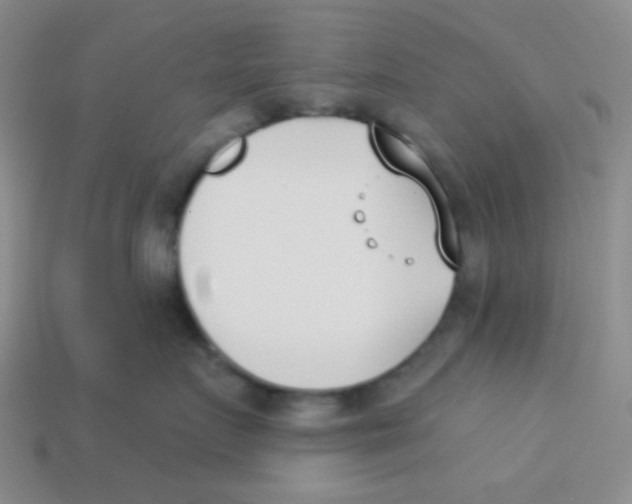 X0000113360719200910131300