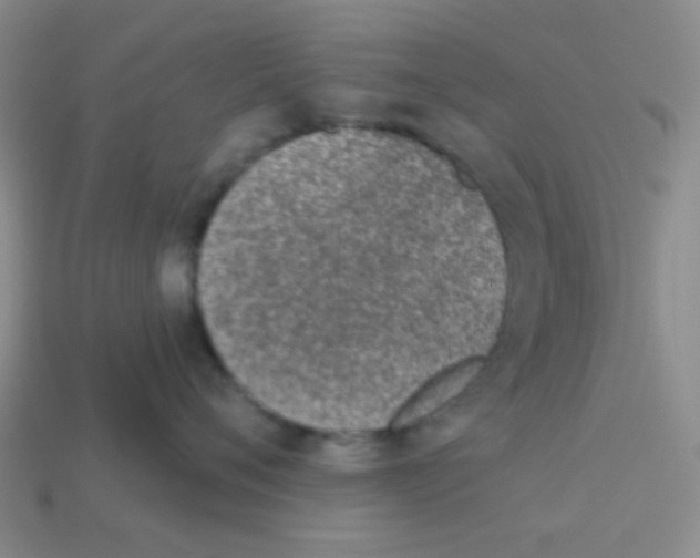 X0000113360720200910131300