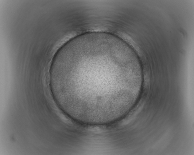 X0000113360721200910131259
