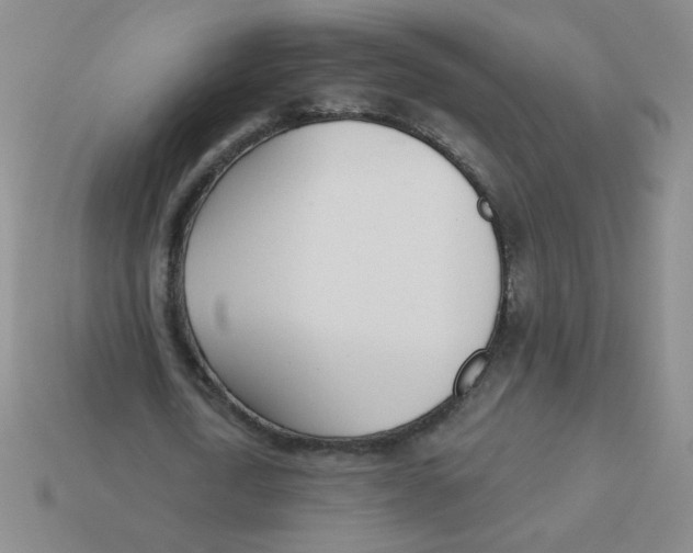 X0000113360722200910131259