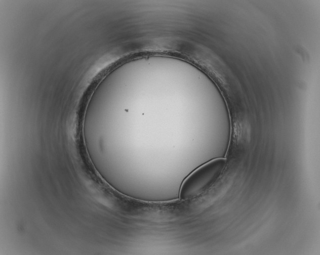 X0000113360724200910131259