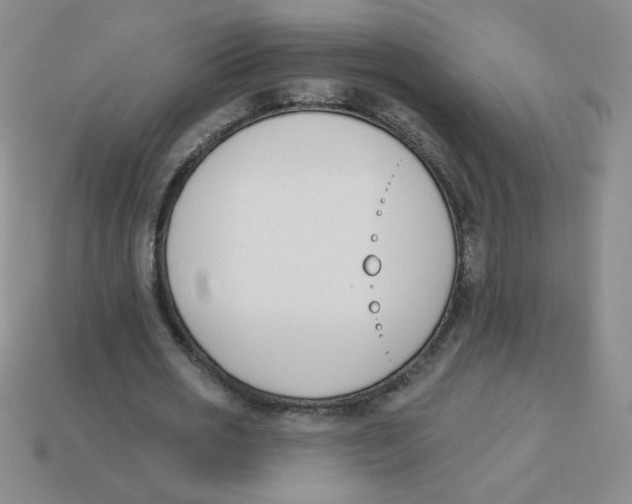 X0000113360725200910131259