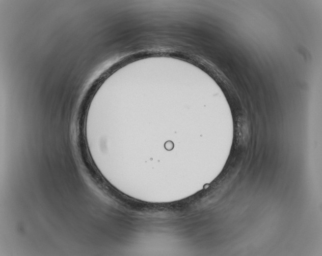 X0000113360726200910131259